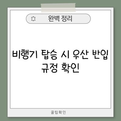 비행기 탑승 시 우산 반입 규정 확인