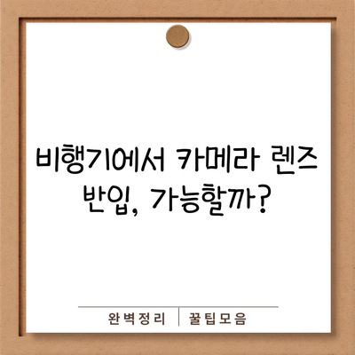 비행기에서 카메라 렌즈 반입, 가능할까?