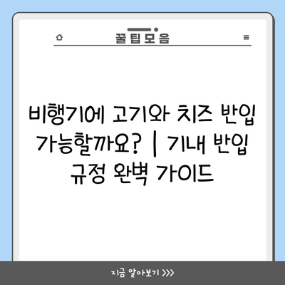 비행기에 고기와 치즈 반입 가능할까요? | 기내 반입 규정 완벽 가이드