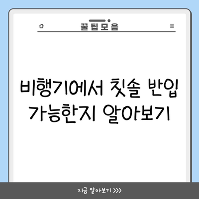 비행기에서 칫솔 반입 가능한지 알아보기