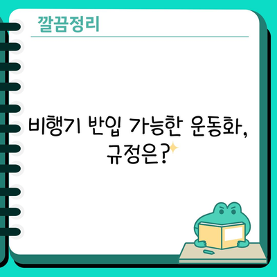 비행기 반입 가능한 운동화, 규정은?