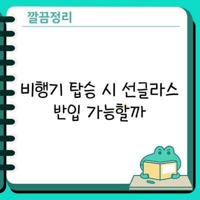 비행기 탑승 시 선글라스 반입 가능할까