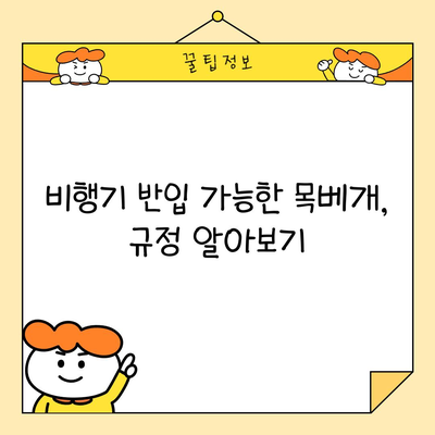 비행기 반입 가능한 목베개, 규정 알아보기