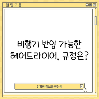 비행기 반입 가능한 헤어드라이어, 규정은?