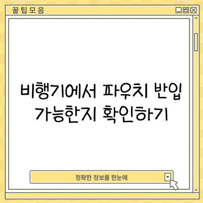 비행기에서 파우치 반입 가능한지 확인하기