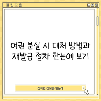 여권 분실 시 대처 방법과 재발급 절차 한눈에 보기