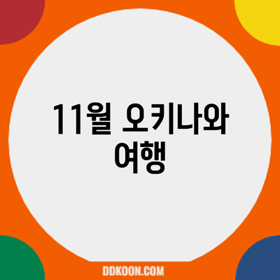 11월 오키나와 여행