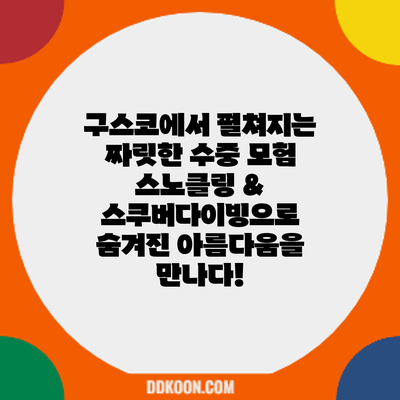 구스코에서 펼쳐지는 짜릿한 수중 모험: 스노클링 & 스쿠버다이빙으로 숨겨진 아름다움을 만나다!
