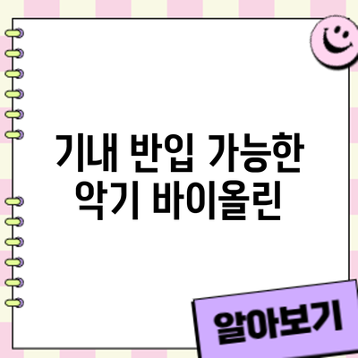 기내 반입 가능한 악기? 바이올린