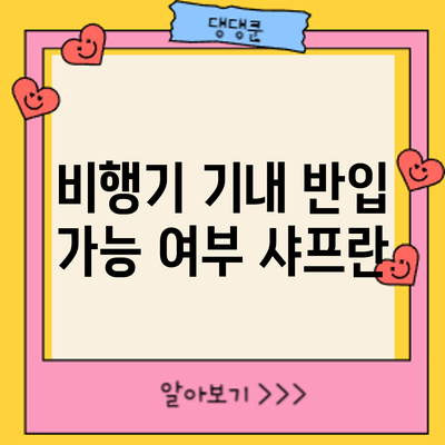 비행기 기내 반입 가능 여부: 샤프란