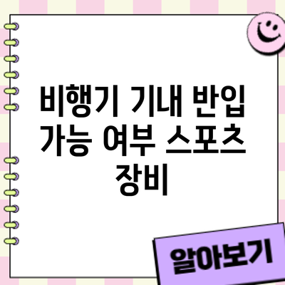 비행기 기내 반입 가능 여부: 스포츠 장비