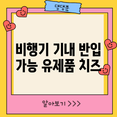 비행기 기내 반입 가능 유제품: 치즈
