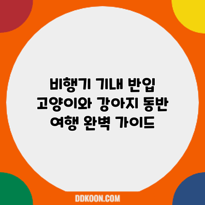 비행기 기내 반입: 고양이와 강아지 동반 여행 완벽 가이드