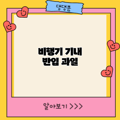 비행기 기내 반입: 과일