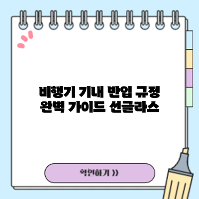 비행기 기내 반입 규정 완벽 가이드: 선글라스