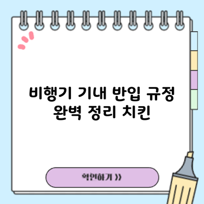 비행기 기내 반입 규정 완벽 정리: 치킨