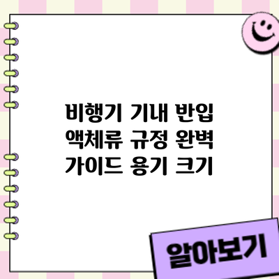 비행기 기내 반입 액체류 규정 완벽 가이드: 용기 크기
