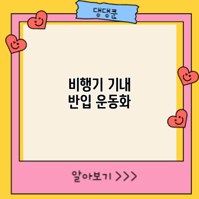 비행기 기내 반입: 운동화