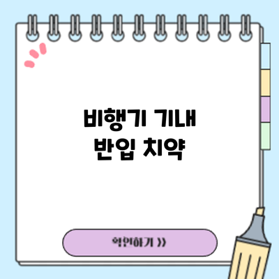 비행기 기내 반입: 치약