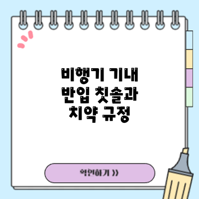 비행기 기내 반입 칫솔과 치약: 규정