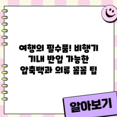 여행의 필수품! 비행기 기내 반입 가능한 압축백과 의류 꼼꼼 팁