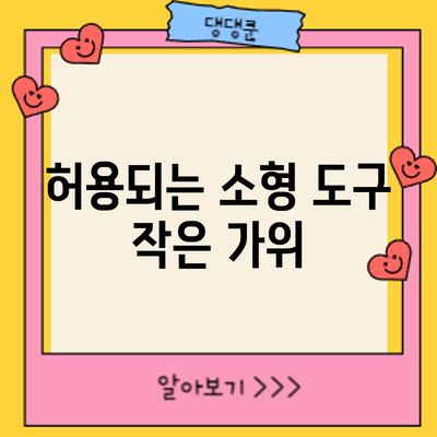 허용되는 소형 도구: 작은 가위