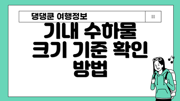 기내 수하물 크기 기준 확인 방법