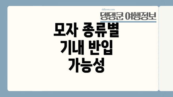 모자 종류별 기내 반입 가능성