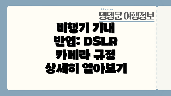 비행기 기내 반입: DSLR 카메라 규정 상세히 알아보기