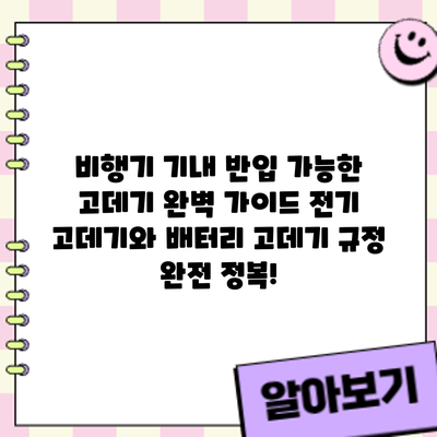 비행기 기내 반입 가능한 고데기 완벽 가이드: 전기 고데기와 배터리 고데기 규정 완전 정복!