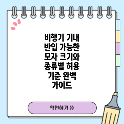 비행기 기내 반입 가능한 모자: 크기와 종류별 허용 기준 완벽 가이드