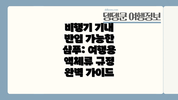 비행기 기내 반입 가능한 샴푸: 여행용 액체류 규정 완벽 가이드