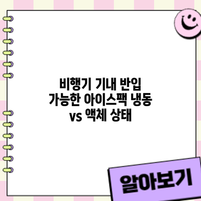 비행기 기내 반입 가능한 아이스팩: 냉동 vs 액체 상태
