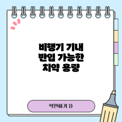 비행기 기내 반입 가능한 치약: 용량