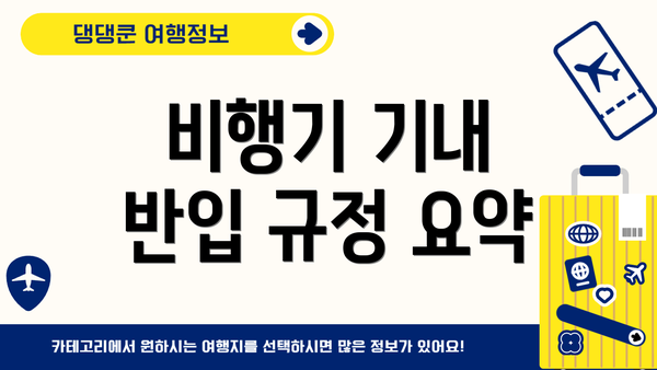 비행기 기내 반입 규정 요약