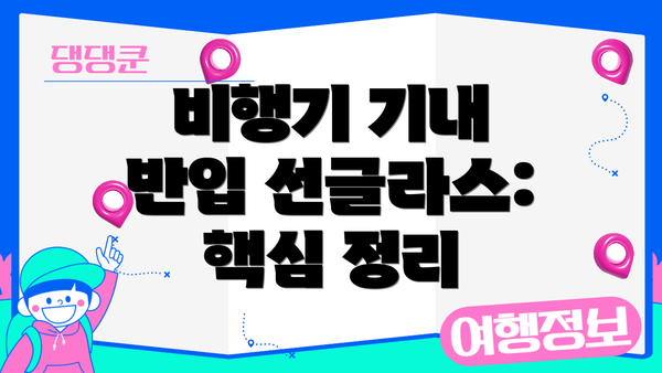 비행기 기내 반입 선글라스:  핵심 정리