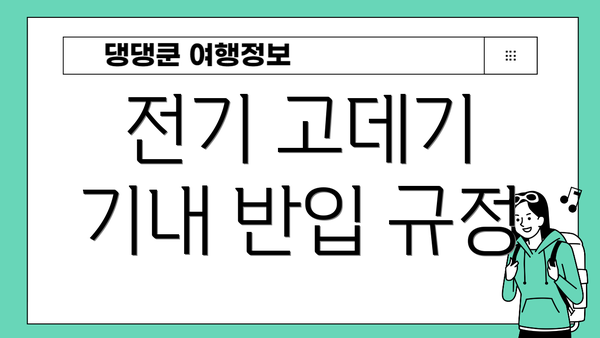 전기 고데기 기내 반입 규정