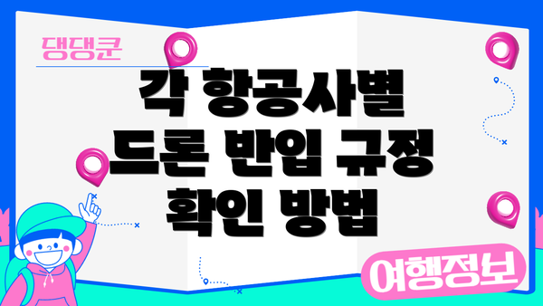 각 항공사별 드론 반입 규정 확인 방법