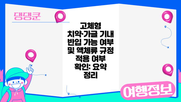 고체형 치약·가글 기내 반입 가능 여부 및 액체류 규정 적용 여부 확인: 요약 정리