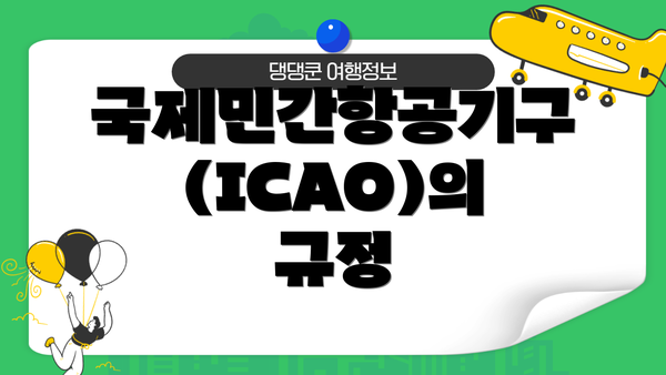 국제민간항공기구(ICAO)의 규정