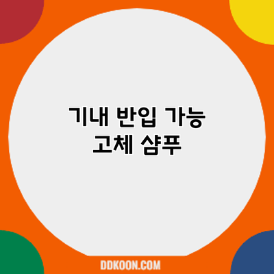 기내 반입 가능? 고체 샴푸