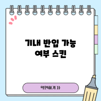 기내 반입 가능 여부: 스킨