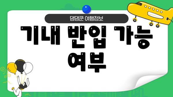 기내 반입 가능 여부