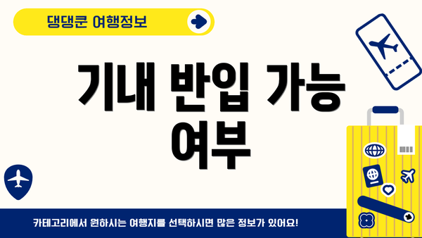 기내 반입 가능 여부
