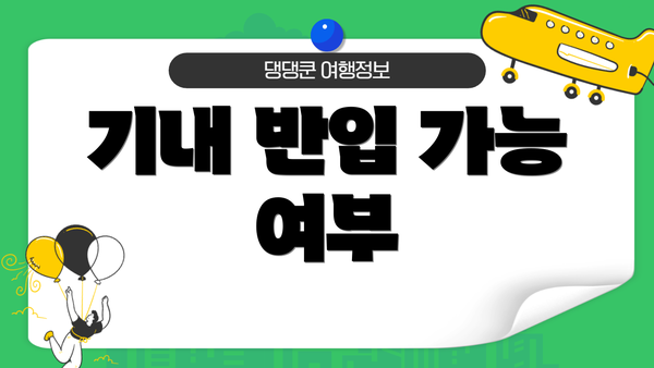 기내 반입 가능 여부