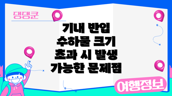 기내 반입 수하물 크기 초과 시 발생 가능한 문제점