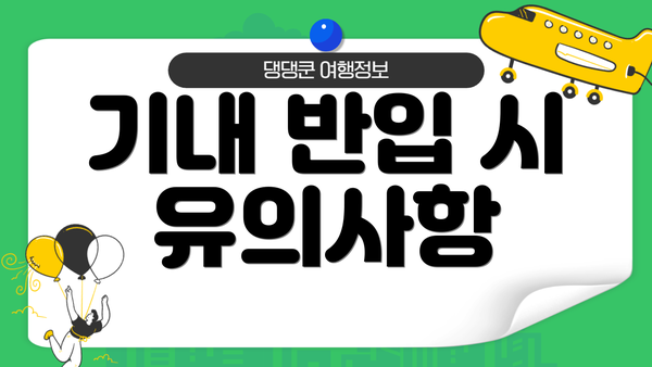 기내 반입 시 유의사항