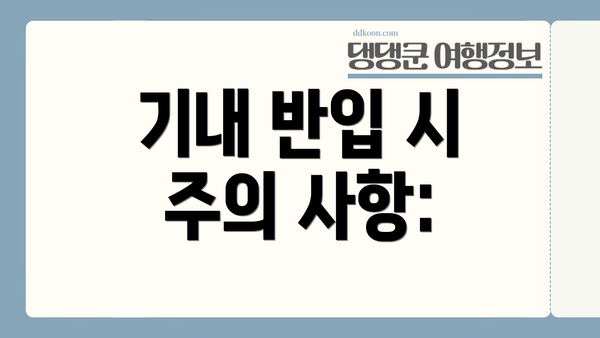 기내 반입 시 주의 사항: