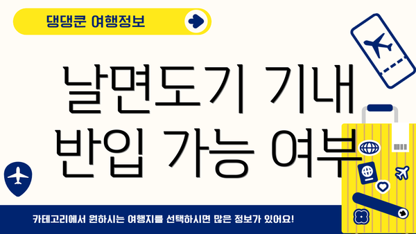 날면도기 기내 반입 가능 여부
