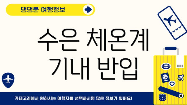 수은 체온계 기내 반입